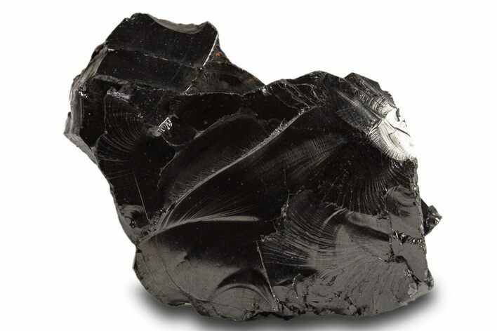 Lustrous, High Grade Shungite - Colombia #324895